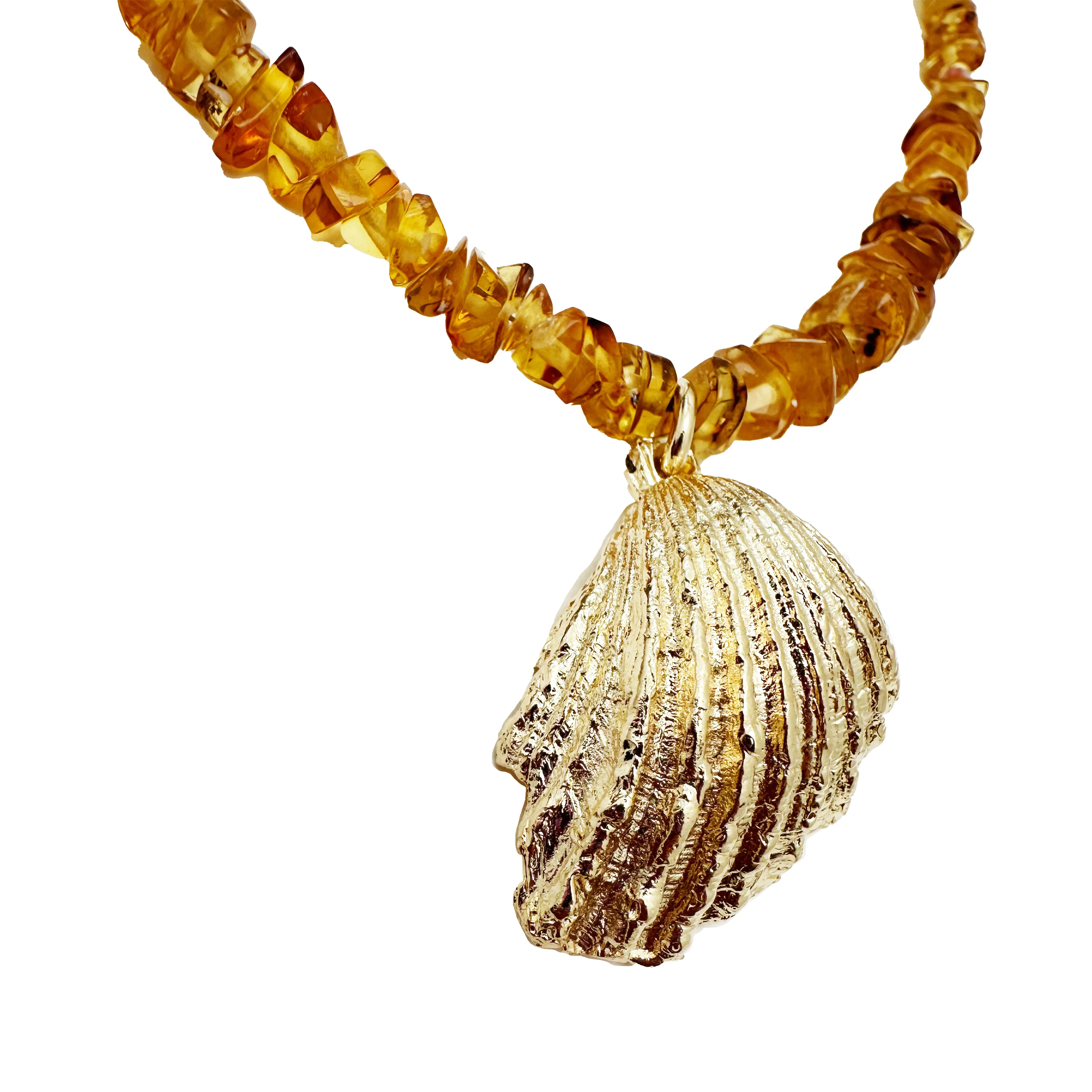 Collar Concha mbar