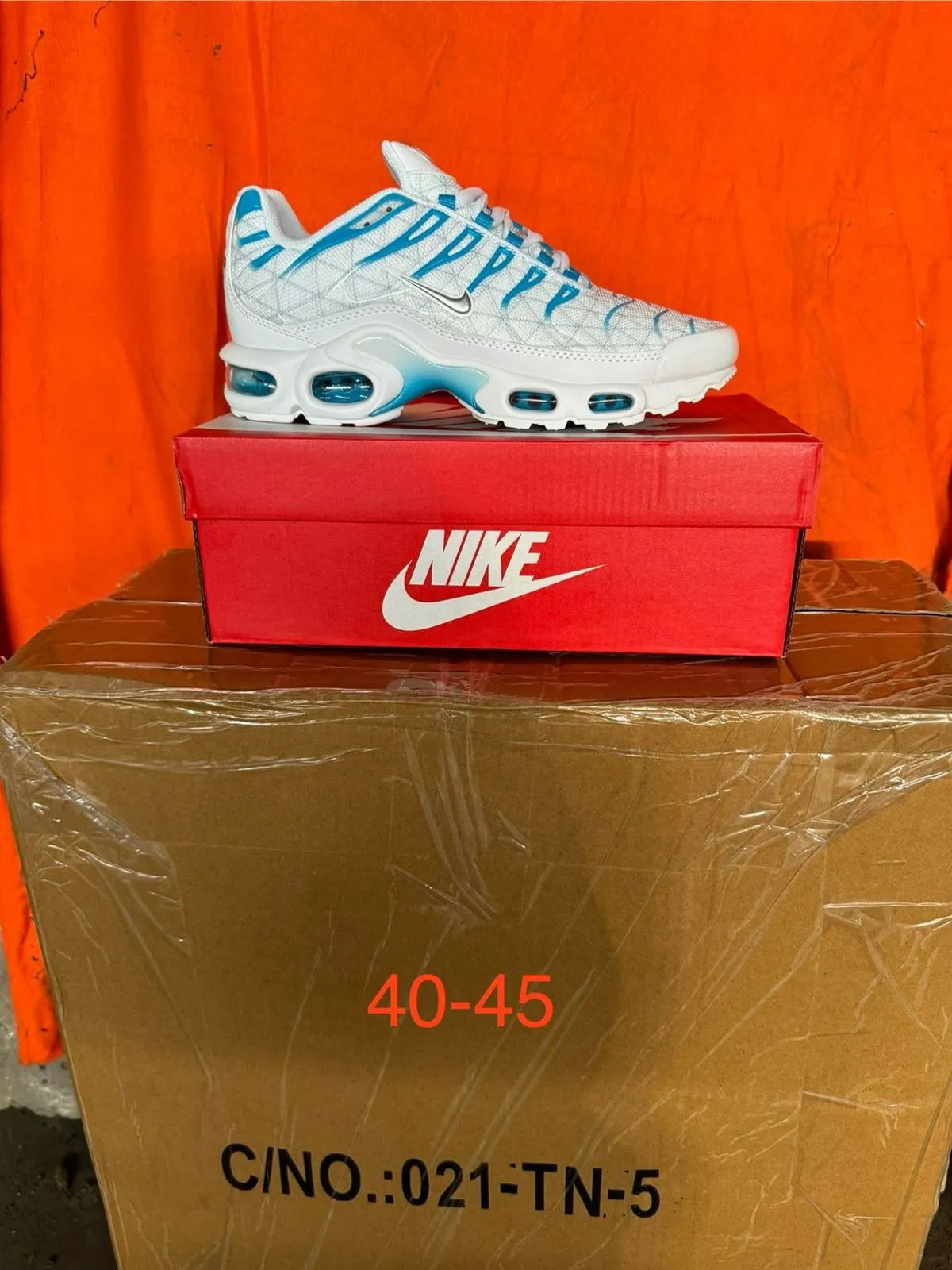Nike TN hombre