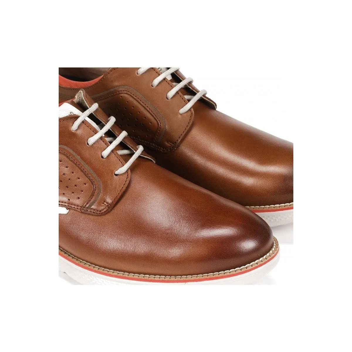 William F1435 Cuero