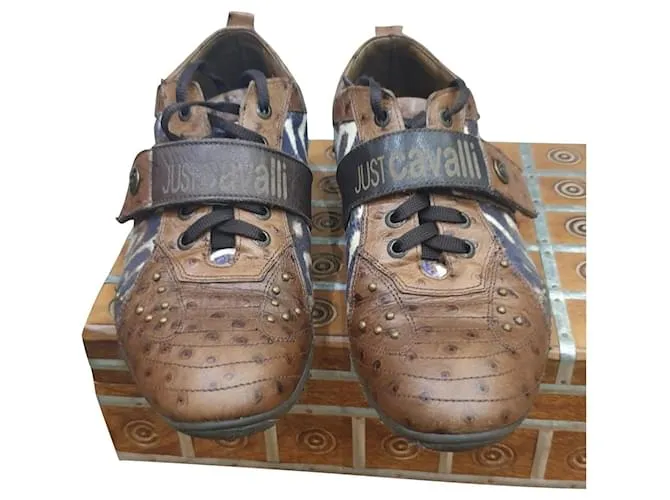 Zapatos deportivos Just Cavalli animalier Castaño 