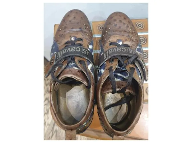Zapatos deportivos Just Cavalli animalier Castaño 