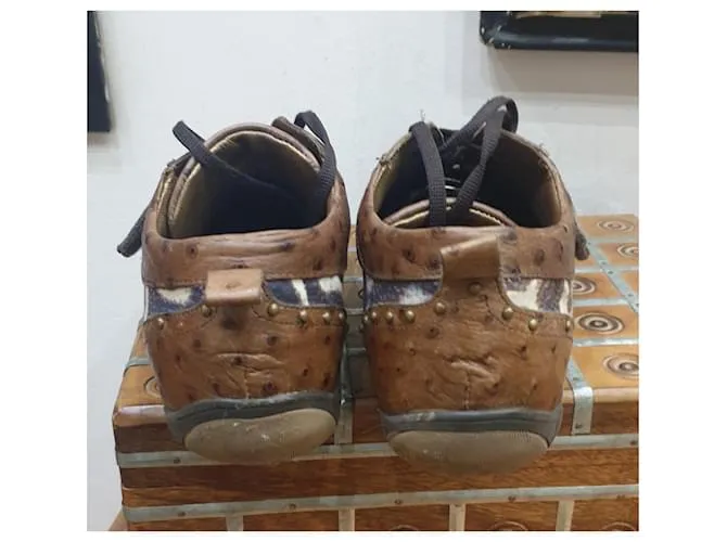 Zapatos deportivos Just Cavalli animalier Castaño 