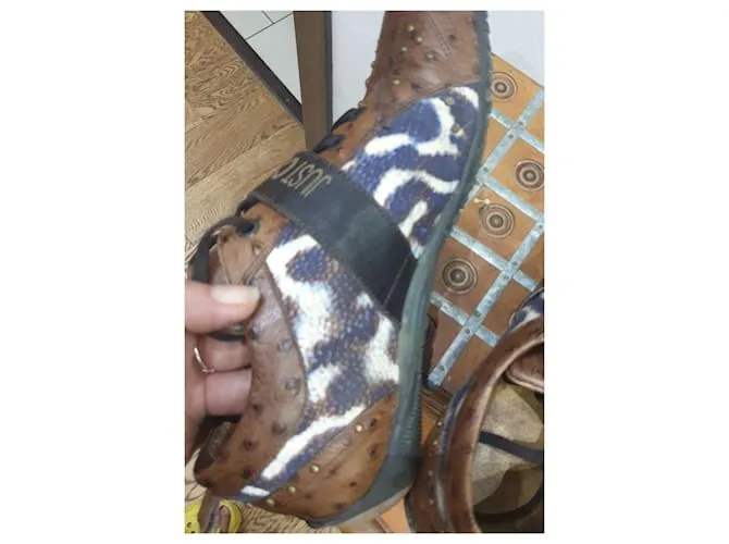 Zapatos deportivos Just Cavalli animalier Castaño 